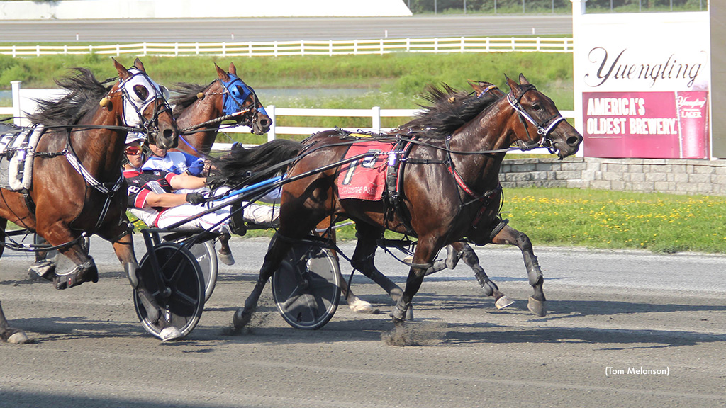 Plainridge Paces Go To Probert, Willie Go West N