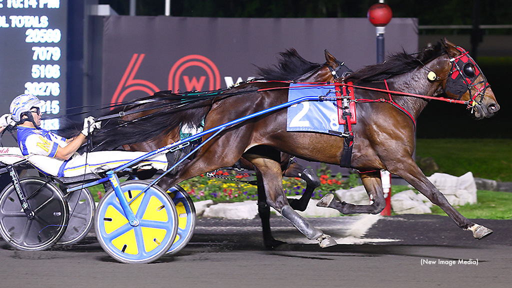 OSS Gold Scores For Righteous Resolve, Muscling Vegas