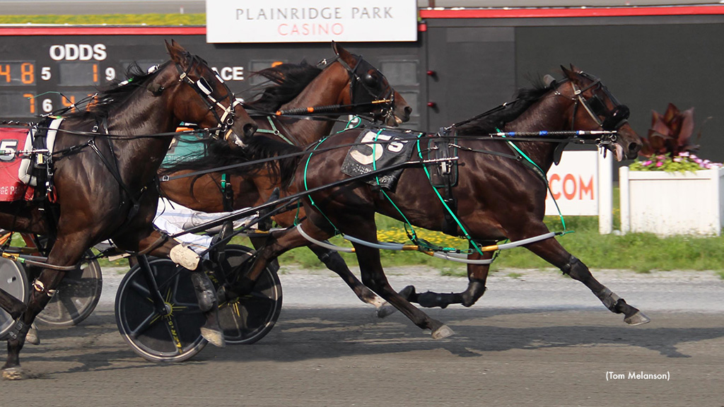 Rodman, Mimado Impressive In Plainridge Paces
