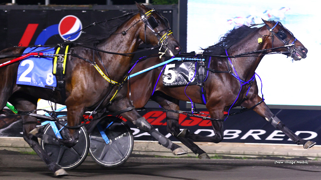 Stockade Seelster, Midnight Nation Win In OSS Gold