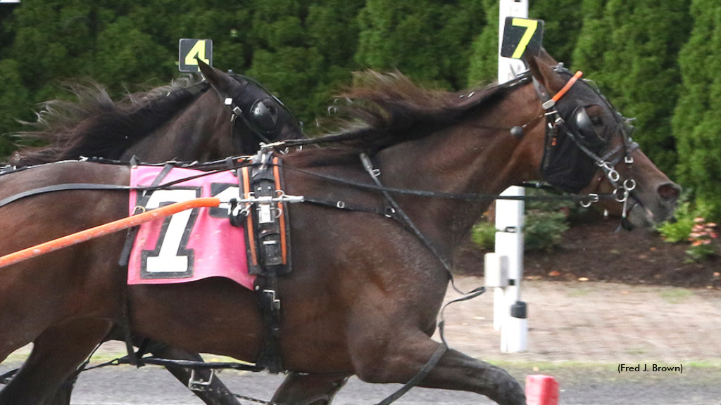 Sweet Tactics Takes Tioga's Top Trot