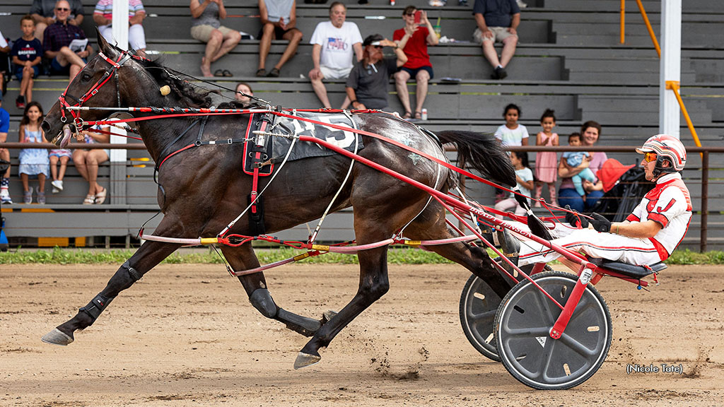 Harness Racing Tradition Going Strong At Cannon Valley Harness Racing Tradition Going Strong At Cannon Valley
