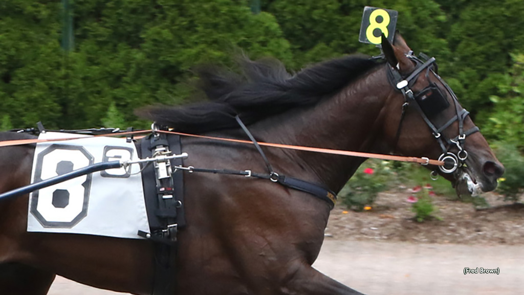 Trotting Freshmen Shine In NYSS At Tioga Trotting Freshmen Shine In NYSS At Tioga