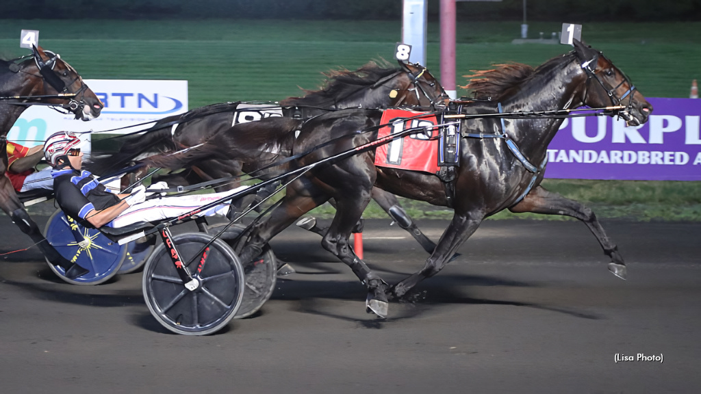Oh Well, Winners Bet Cash In Stanley Dancer