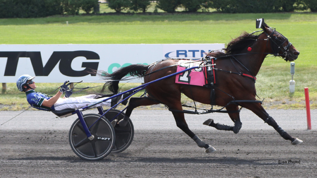 Allywag Hanover Seeks Sun Stakes Threepeat Allywag Hanover Seeks Sun Stakes Threepeat