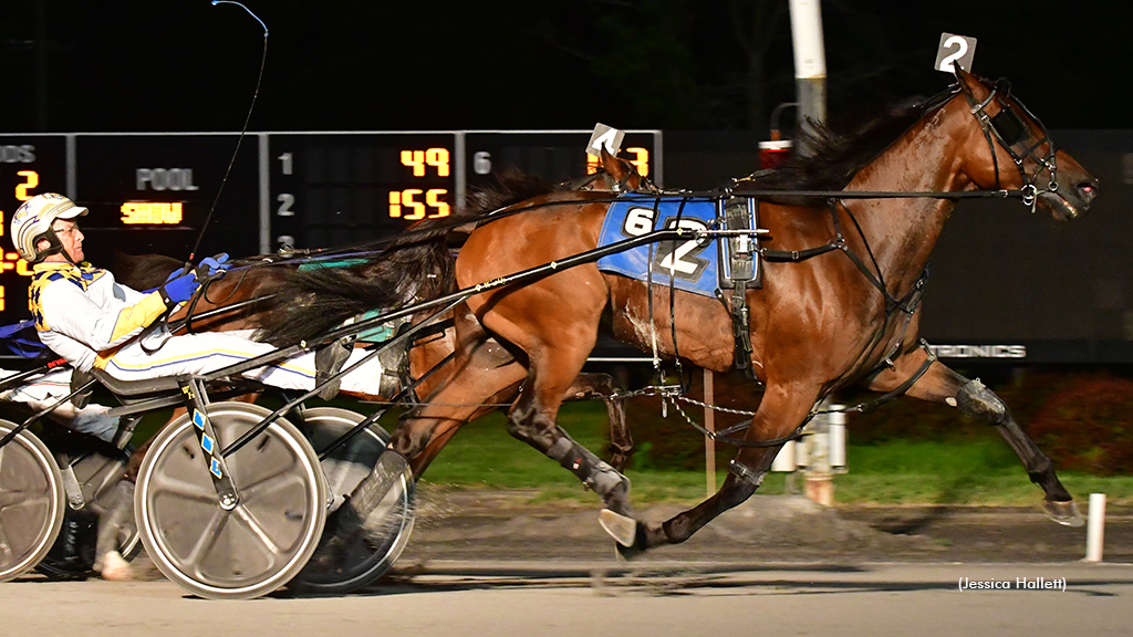 Circuit Party Thrives In Saratoga Open Trot