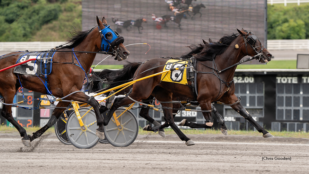 Coastal Holds Off Meadows Open Mares