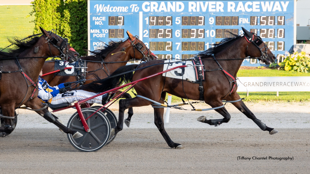 Roy And Two Beautiful 'Belles'