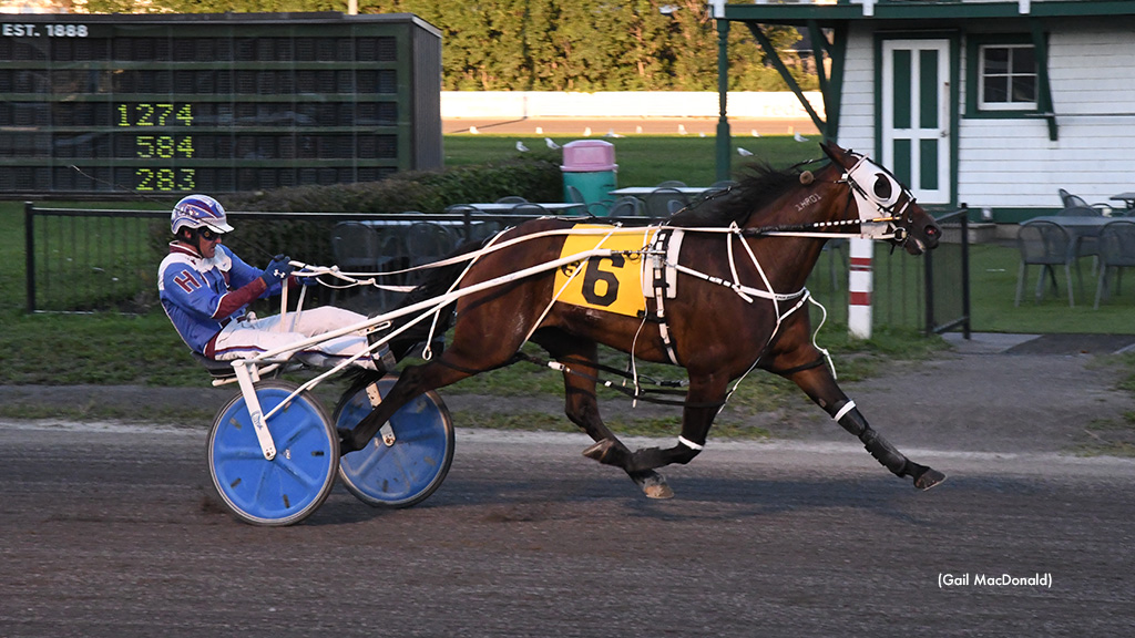 Elm Grove Mistress Pockets Charlottetown Preferred