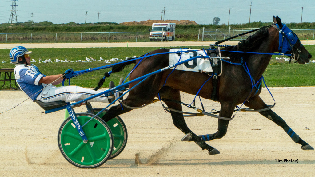 Lady Crocus Stakes Contested At The Loop