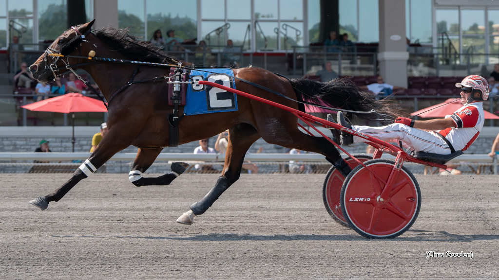 Seven For Palone On Saturday At The Meadows