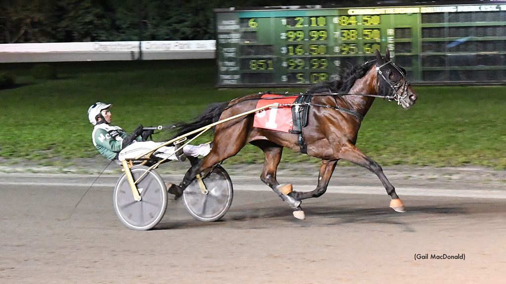 Irish Ray Sets Sights On Lady Slipper Glory 