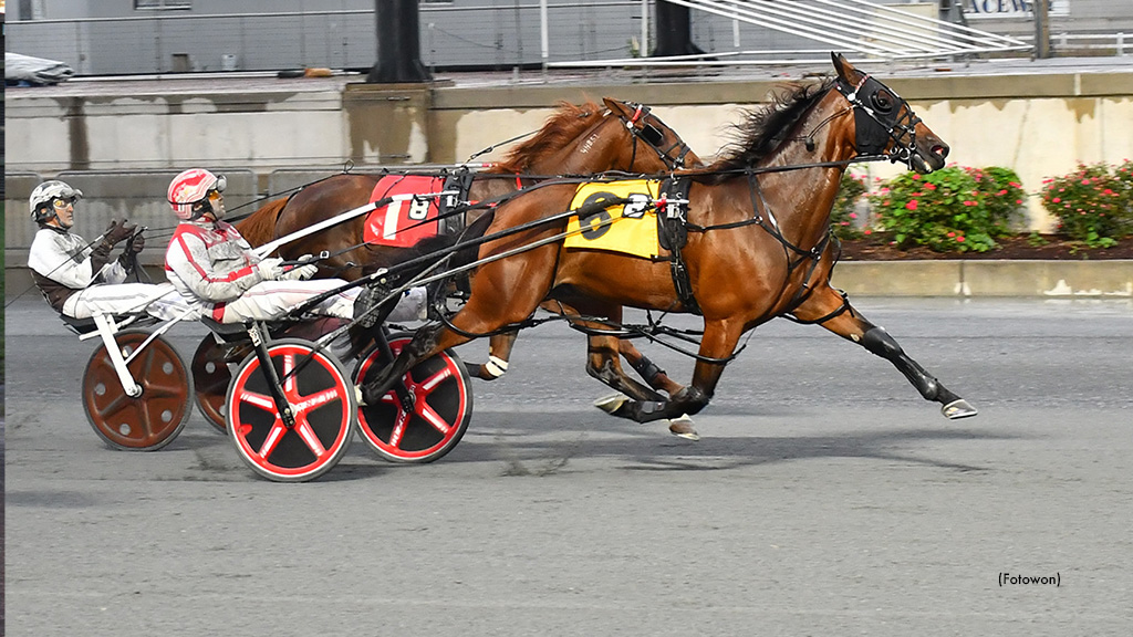 Itsrockandroll A Successful Again In Harrington Open