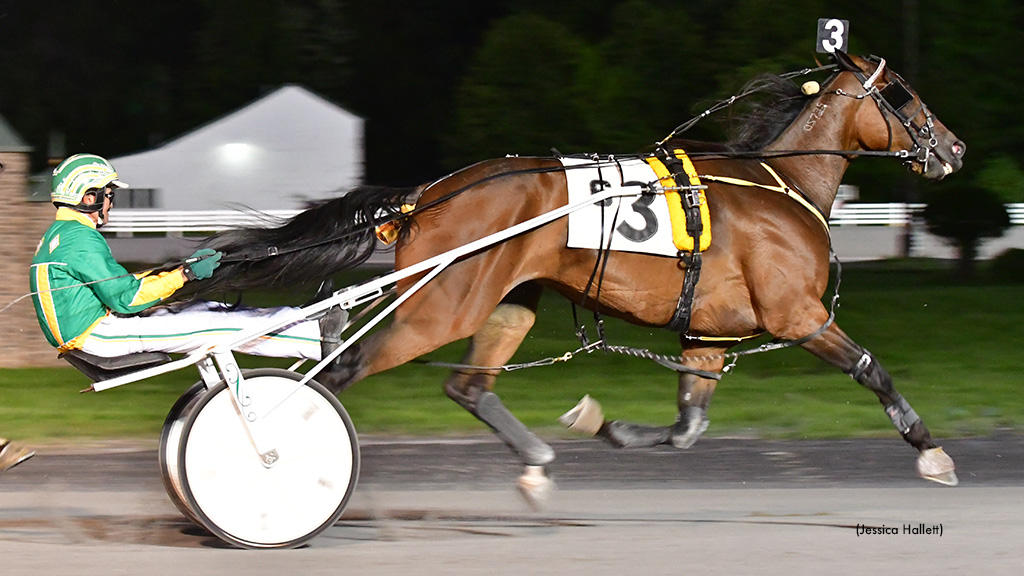 Joxter Tops Saratoga Open Trot