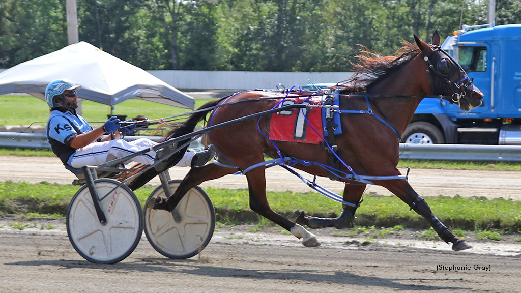Switzer Sweeps Maine Sire Stakes
