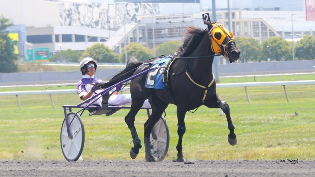 M Ms Dream Cruises To Steele Score