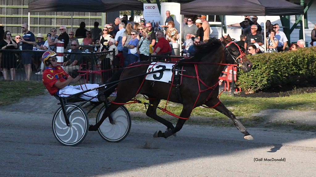 Mds Girl Conquers Gamester-Pinkney Cup Leg 