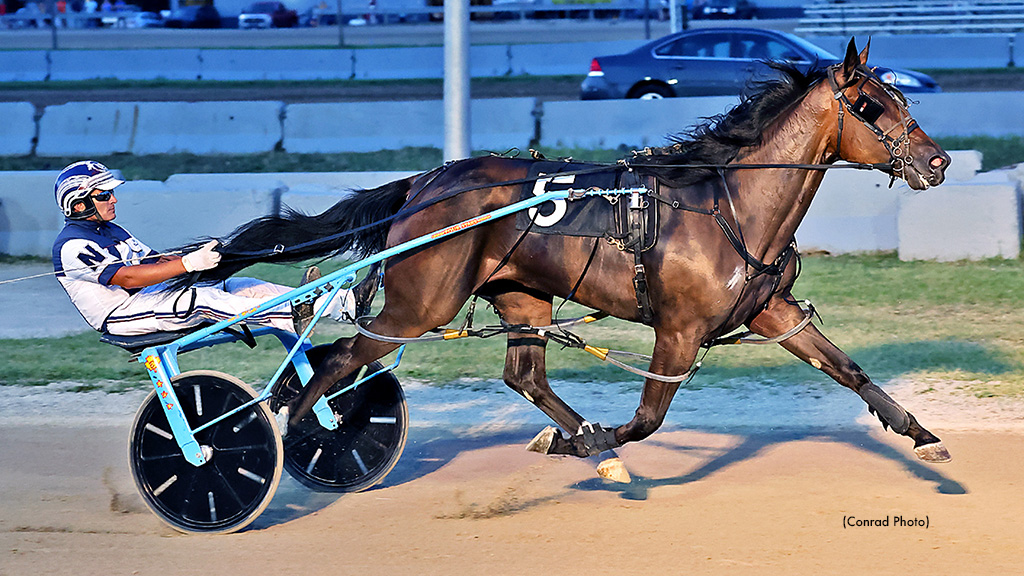 Noble Dominates Buckeye Stallion Series At Champaign County Fair