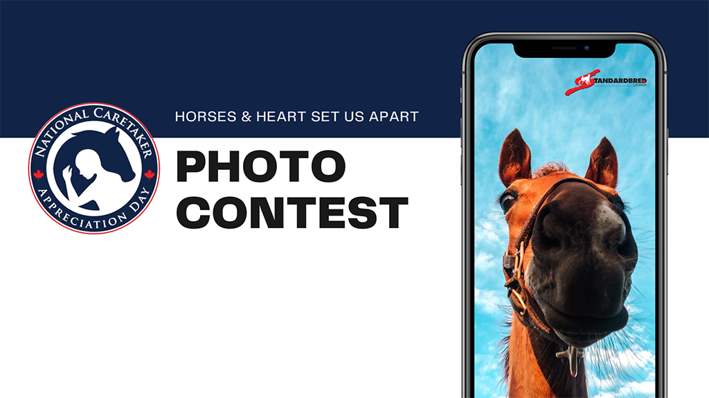 NCAD Horses & Heart Set Us Apart Photo Contest 