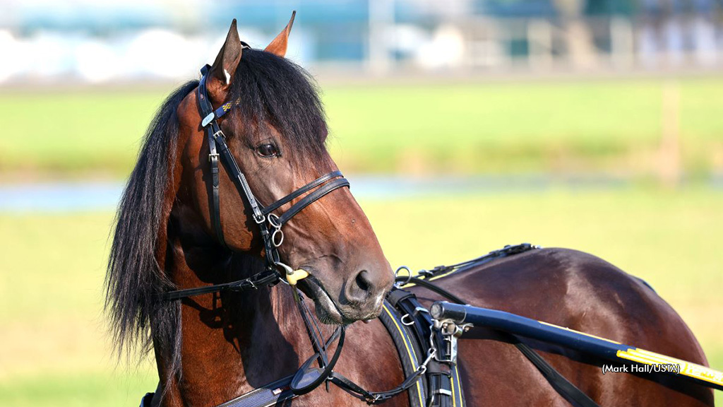 Looking Like A Million