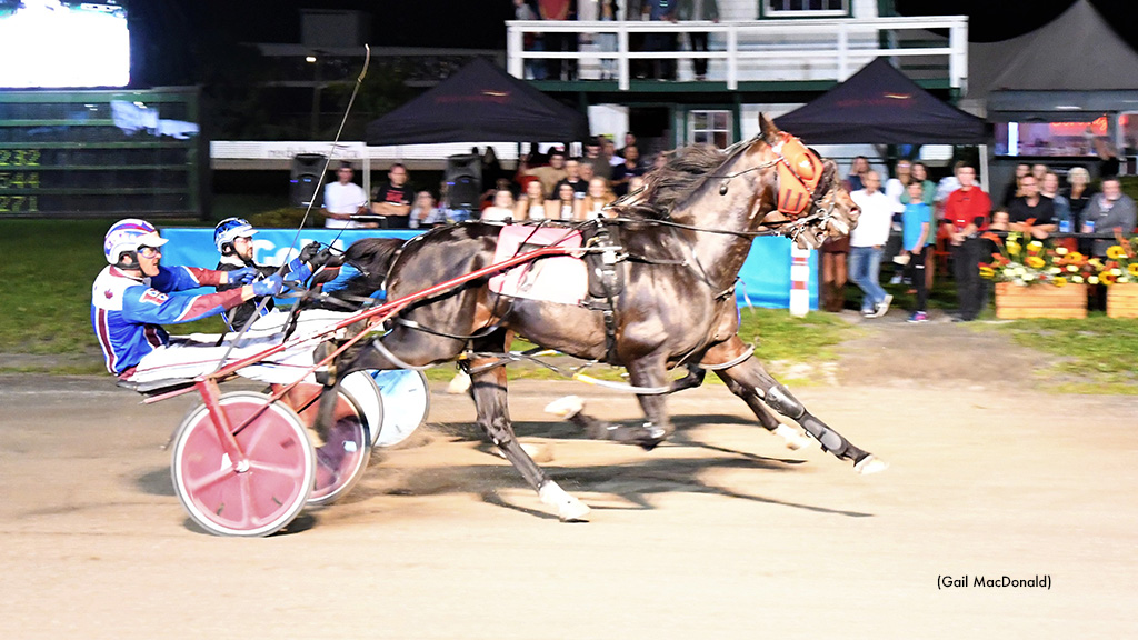 P L Ozzy Flies Home In Gold Cup & Saucer Trial 3