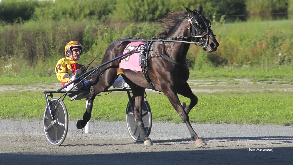 Raised By Lindy Sets Track Record At Plainridge Raised By Lindy Sets Track Record At Plainridge