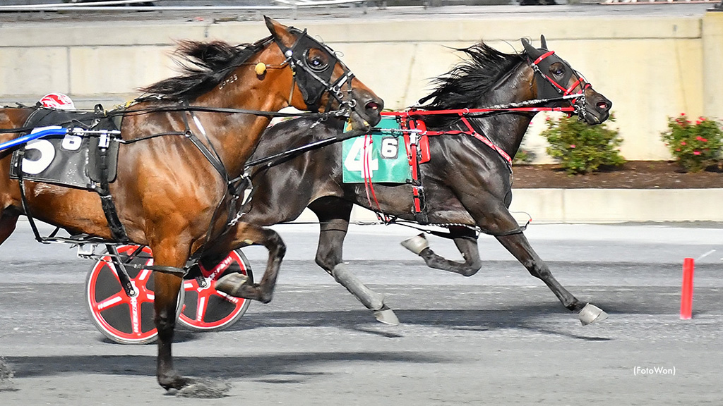 Secret Jet Lands Upset Harrington Win