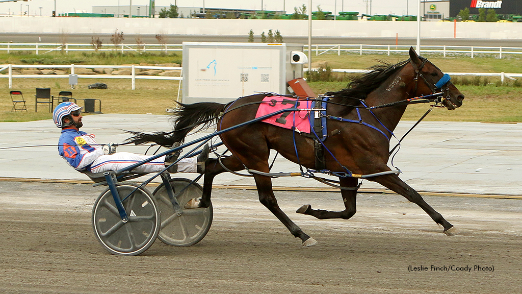 Shark Week And Kioti Continue Century Downs Win Streaks
