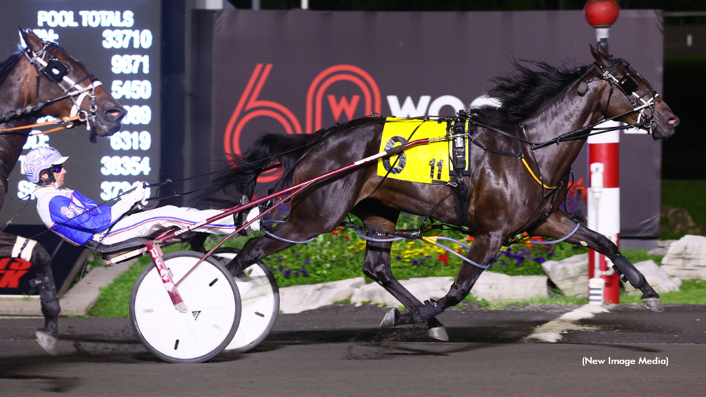 Gallucci's Gals Go For Glory At Dayton