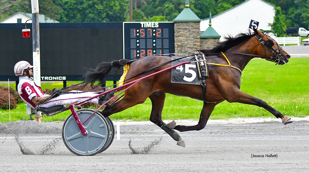 NYSS Fillies To Monticello Monday