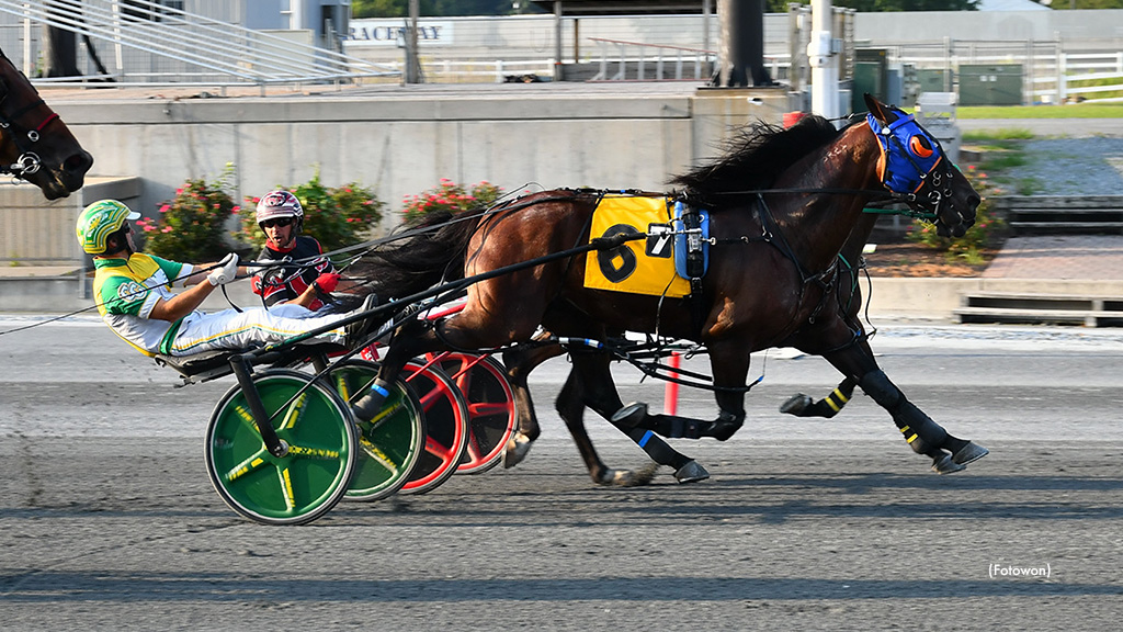 Stag Party Three-Peats At Harrington
