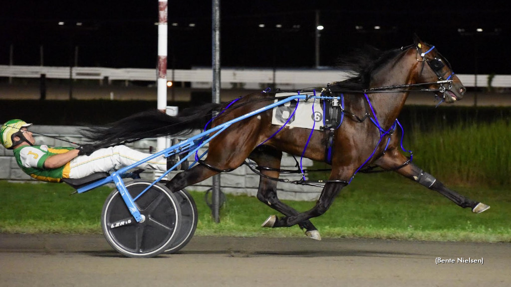 Stockade Seelster Returns To Winning Ways