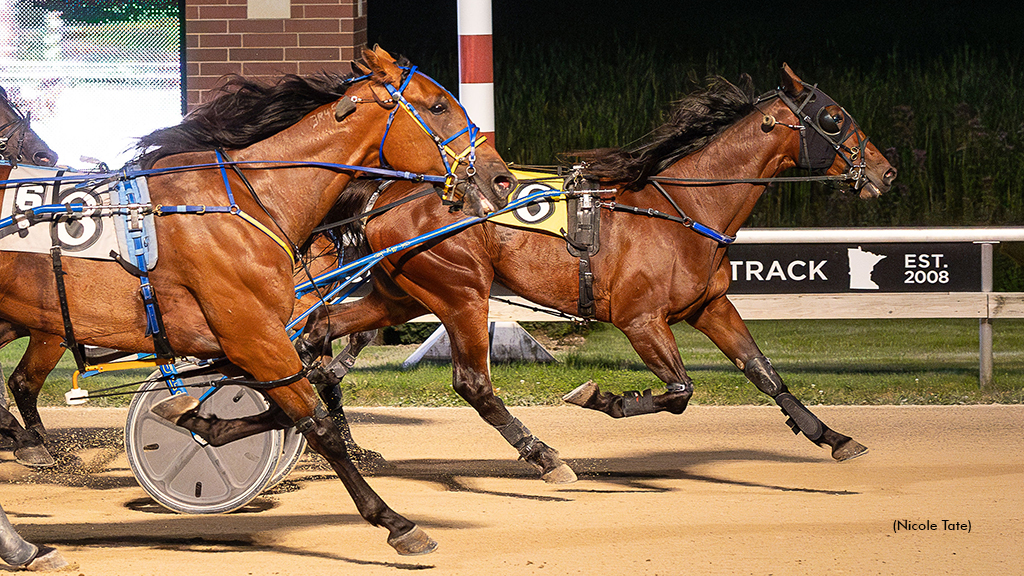 Stride The Hill Ties Aces Record In Open Trot