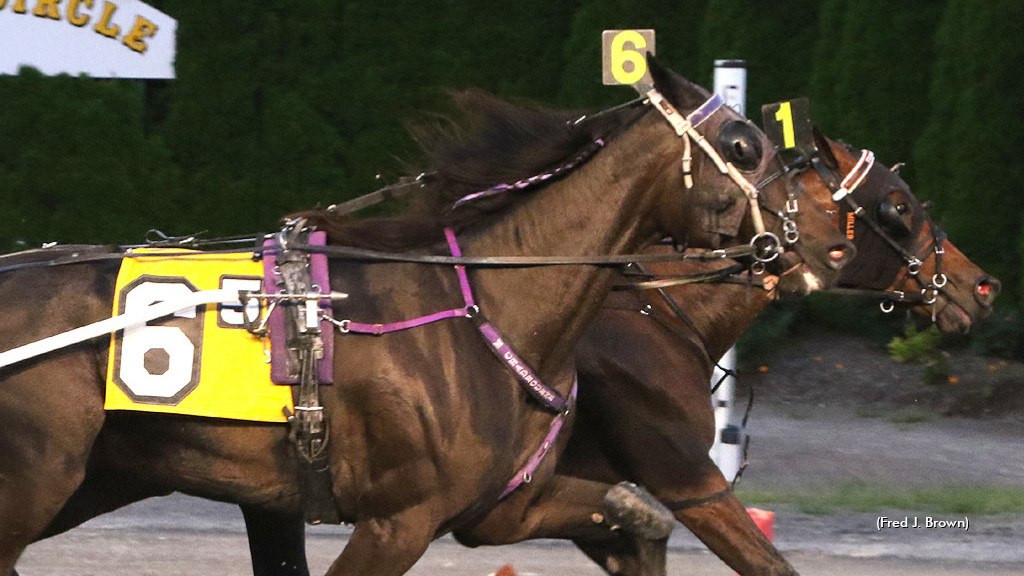 Regally-Bred Sweet Tactics Scores At Tioga