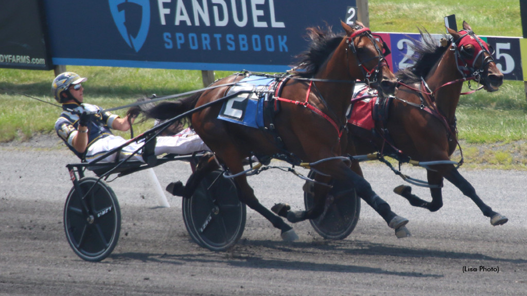 Fields Set For Sun Stakes Saturday