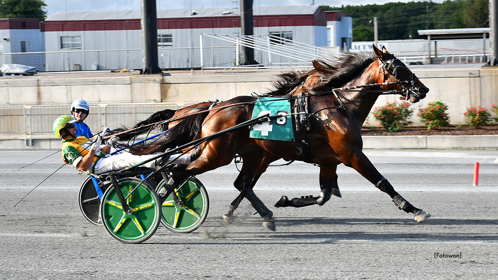 That Ole Bar Stool Takes Harrington Open