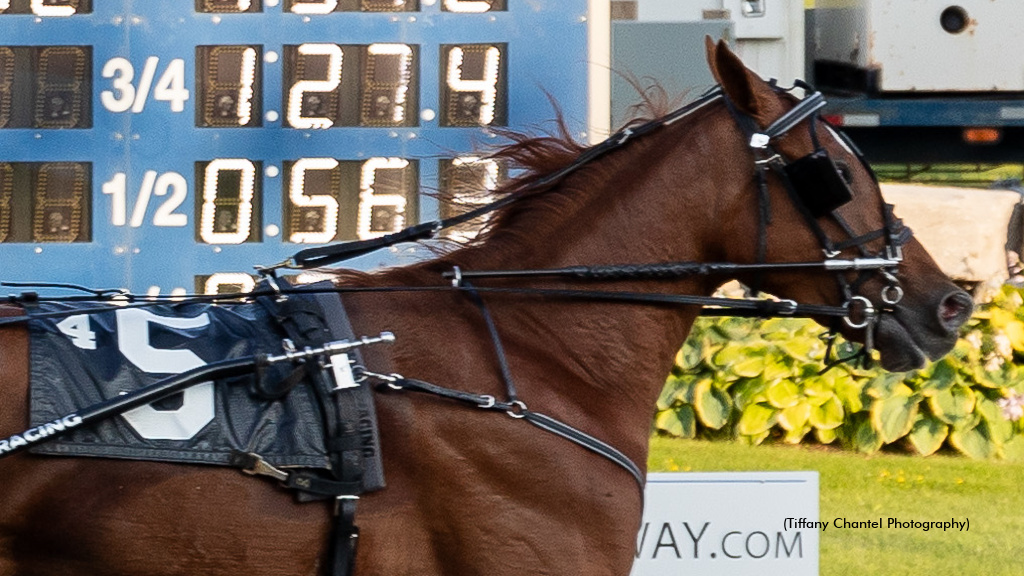 The Great Reset Best At Western Fair