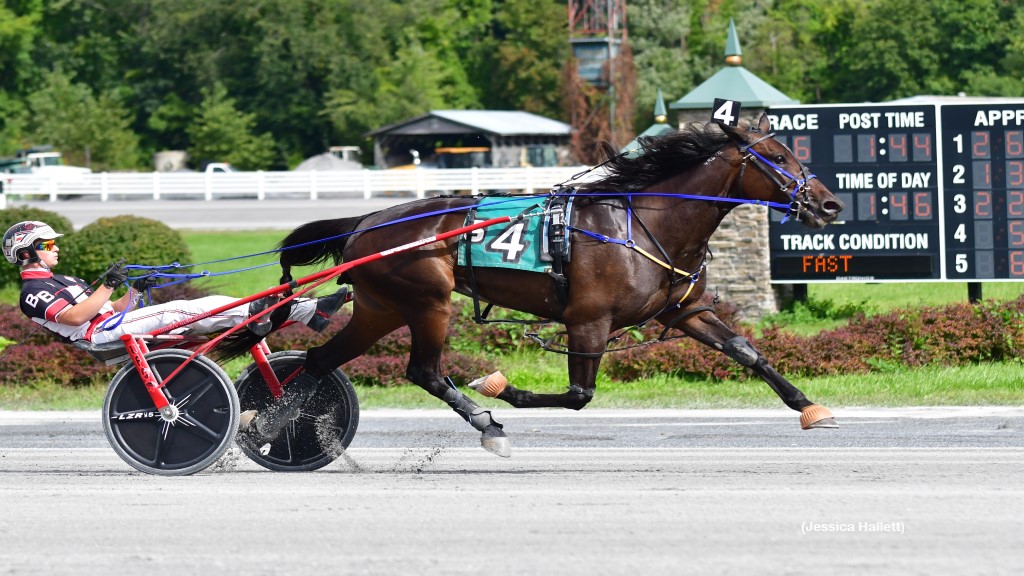 Andover Contessa Tops Saratoga Open Trot