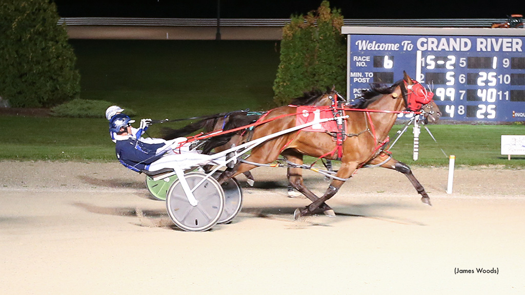 Ballykeel Painter Leads Grand River Prospect Winners Ballykeel Painter Leads Grand River Prospect Winners