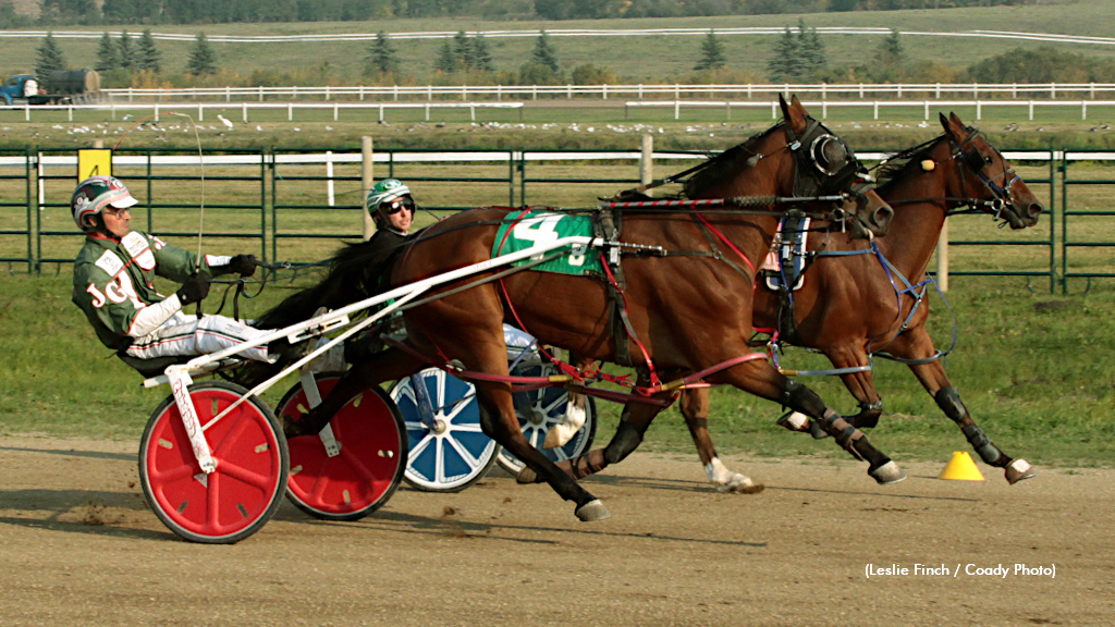 Panda Beer Paces To Track Record At The Track On 2