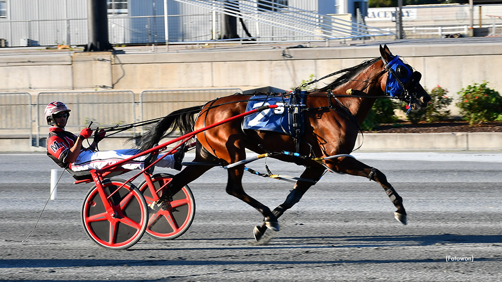 Best Head West Wins Harrington Distaff Open