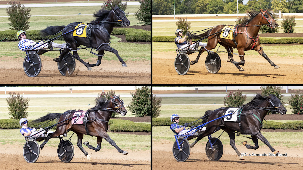 Confederate, Sylvia Hanover Shine In Bluegrass Saturday Confederate, Sylvia Hanover Shine In Bluegrass Saturday