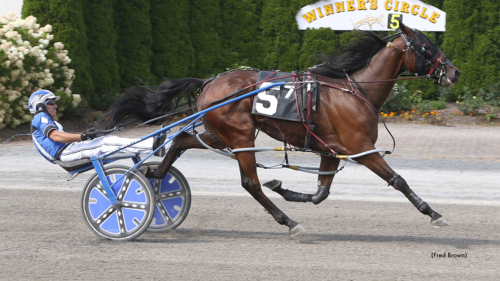 Bluesville Headlines At Tioga
