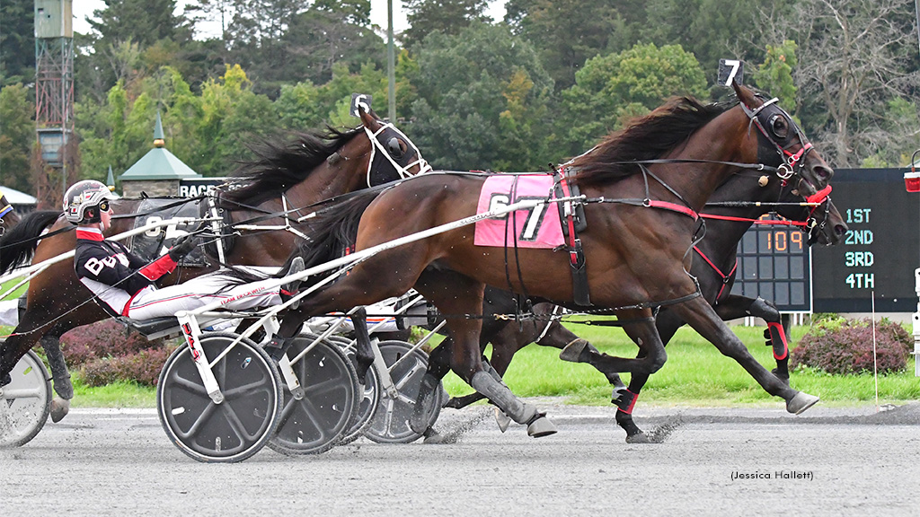 Chapheart Tops Saratoga Open Trot