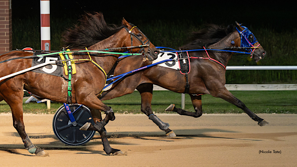 Chiplosive Impresses in Aces Open Trot