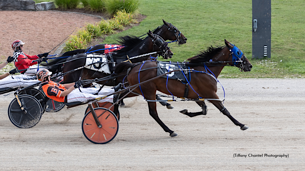 Big Saturday For Borth At Hanover