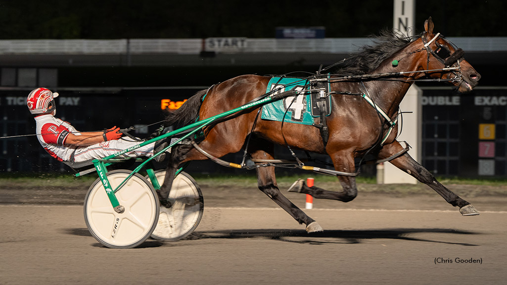 Palone Dominates PA Stallion Series Championships