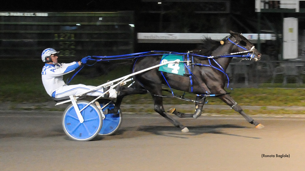 High Roller Lowers Charlottetown Record