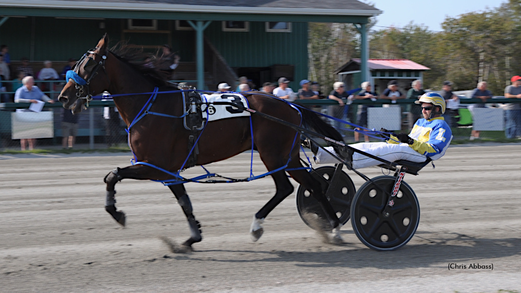 Celtic Financial Sweep For Howmac Napoleon