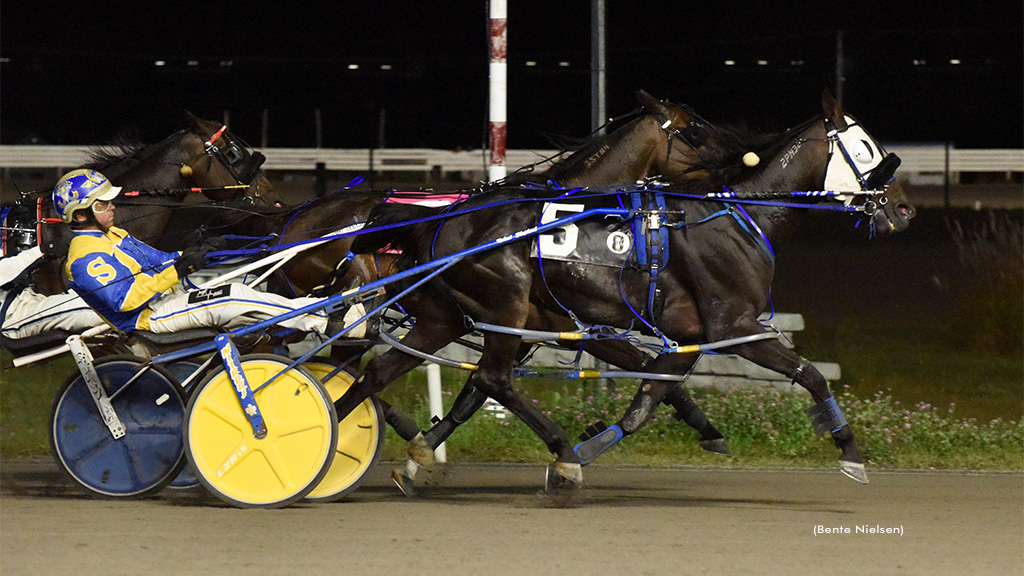 I Ama Rocket Powers To Victory In Rideau Preferred